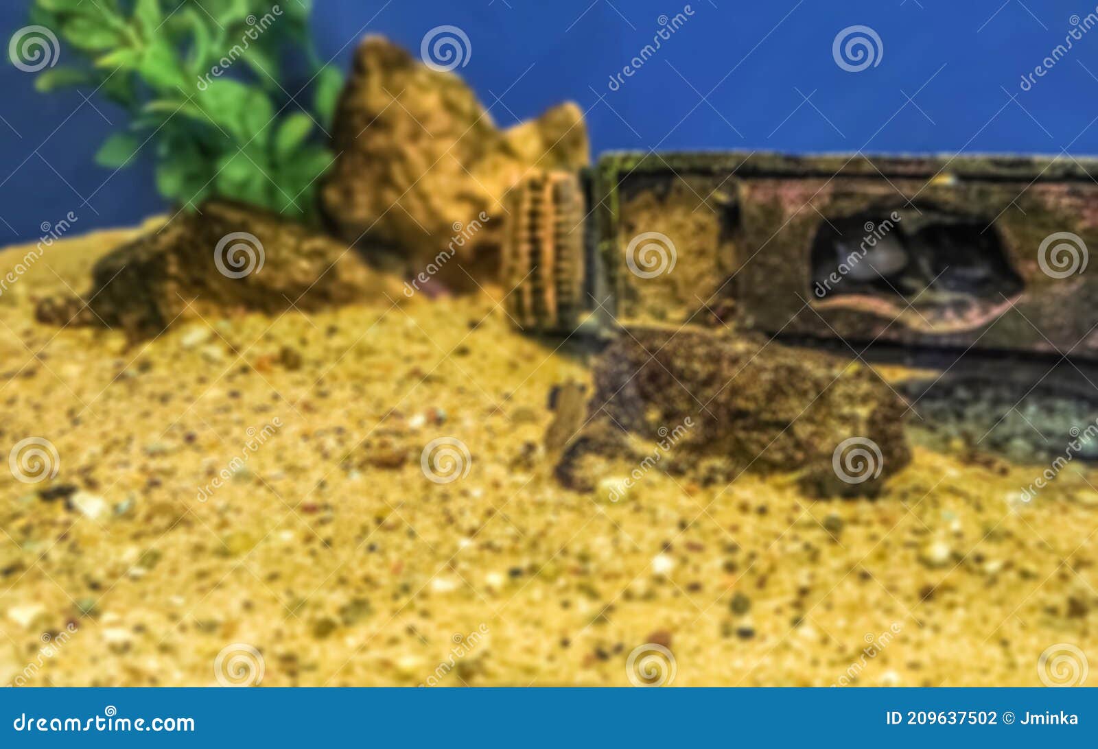 Blurred Image of Bottom of Aquarium with Sand, Broken Ship Toy and