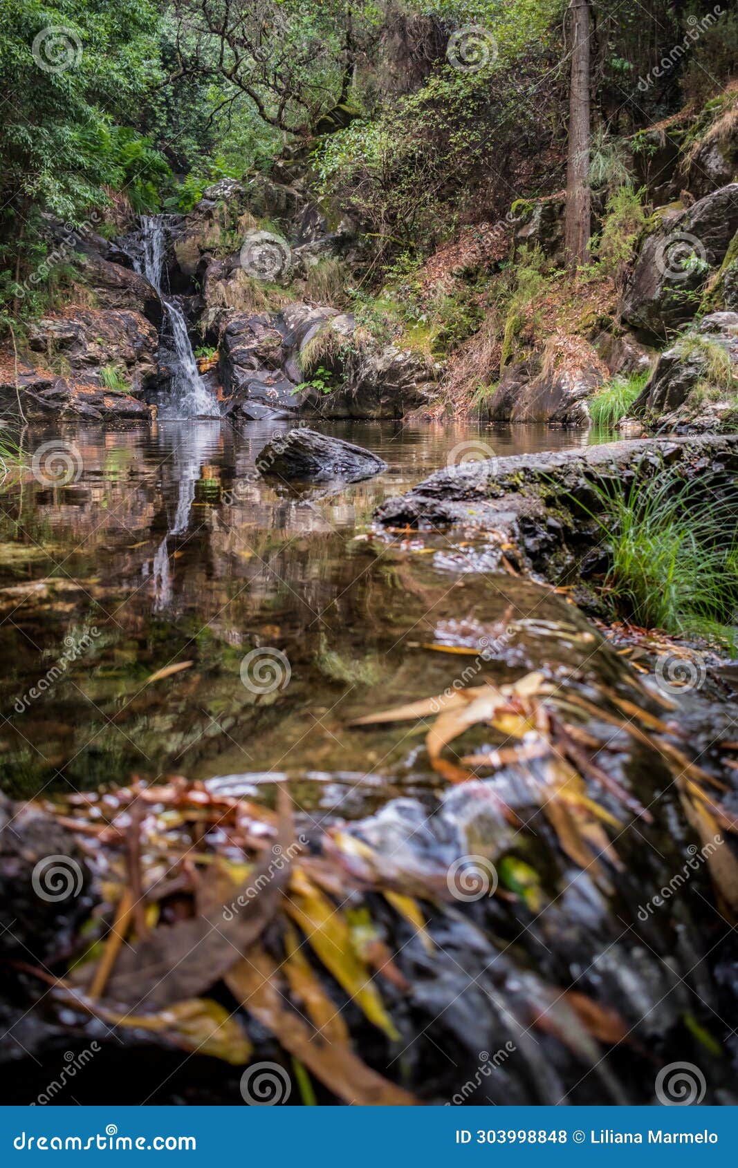 blurred leaves in stone weir with colorful reflection of paredes waterfall and vegetation, mortÃ¡gua portugal