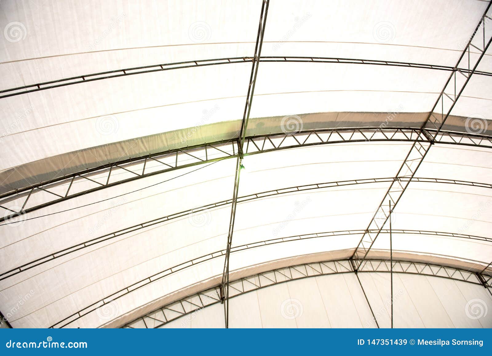 Blurred Light Bulbs In A Dark Room Lamp In The Night Time White