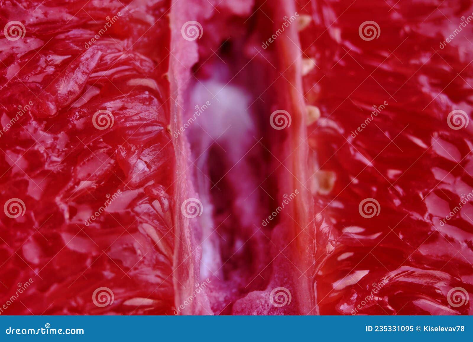 Extreme Close Up Pussy Porn - Blurred Photo of a Grapefruit Close-up. Vagina and Sperm Symbol Stock Image  - Image of pink, sensual: 235331095