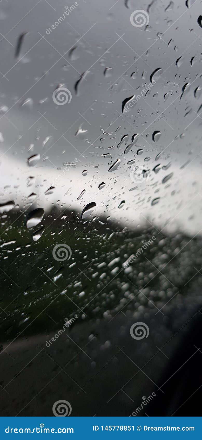 Rainy Day Plant Mobile Phone Wallpaper Images Free Download on Lovepik   400521473