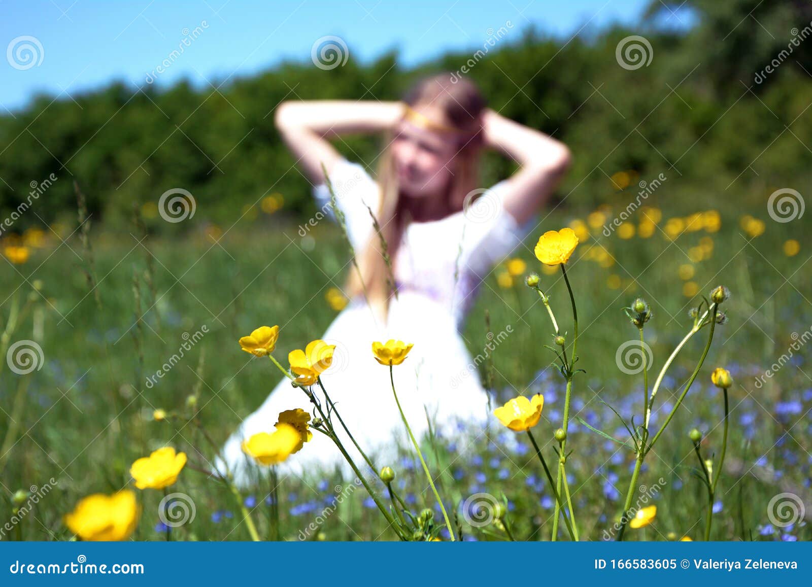 Blurred Silhouette Of A Girl Sitting On A Flowering Meadow Stock Image