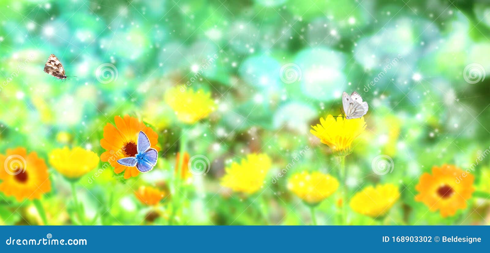 Blurred Summer Background with Marigold Flowers Field and Butterflies in  Sunlight Stock Photo - Image of beautiful, leaf: 168903302