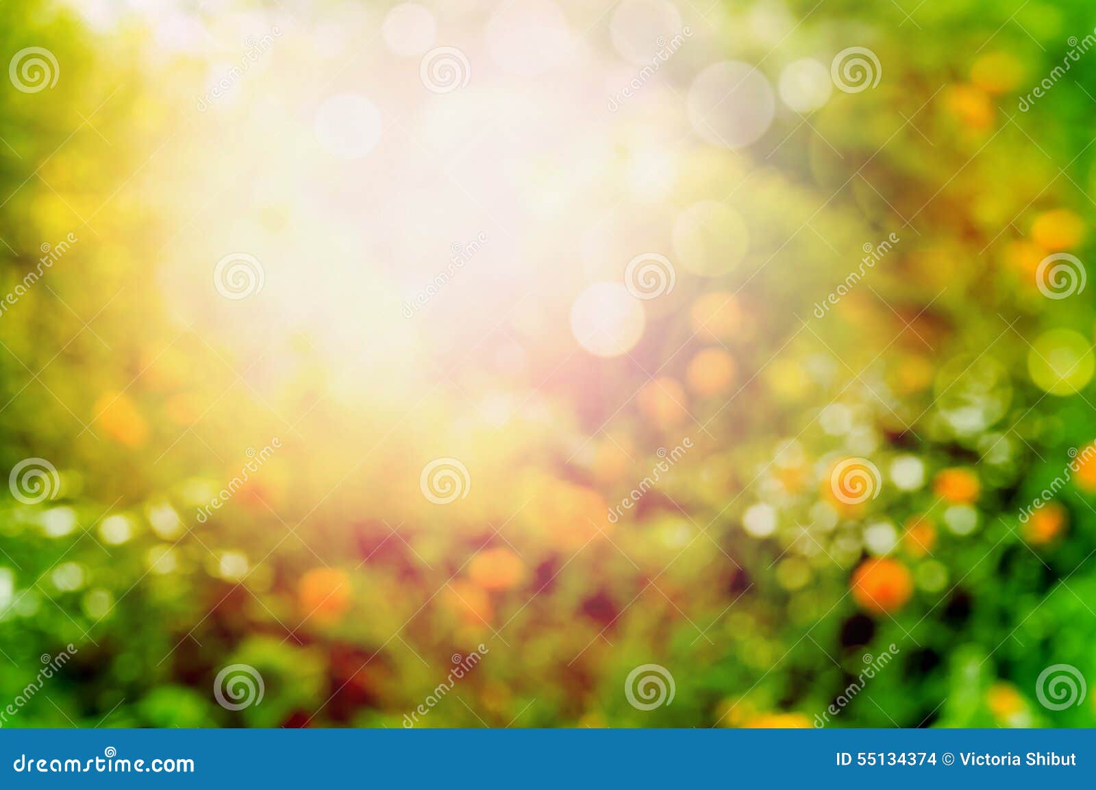 99,184 Nature Backgrounds Summer Light Stock Photos - Free \u0026 Royalty-Free  Stock Photos from Dreamstime, image size:1600x1153