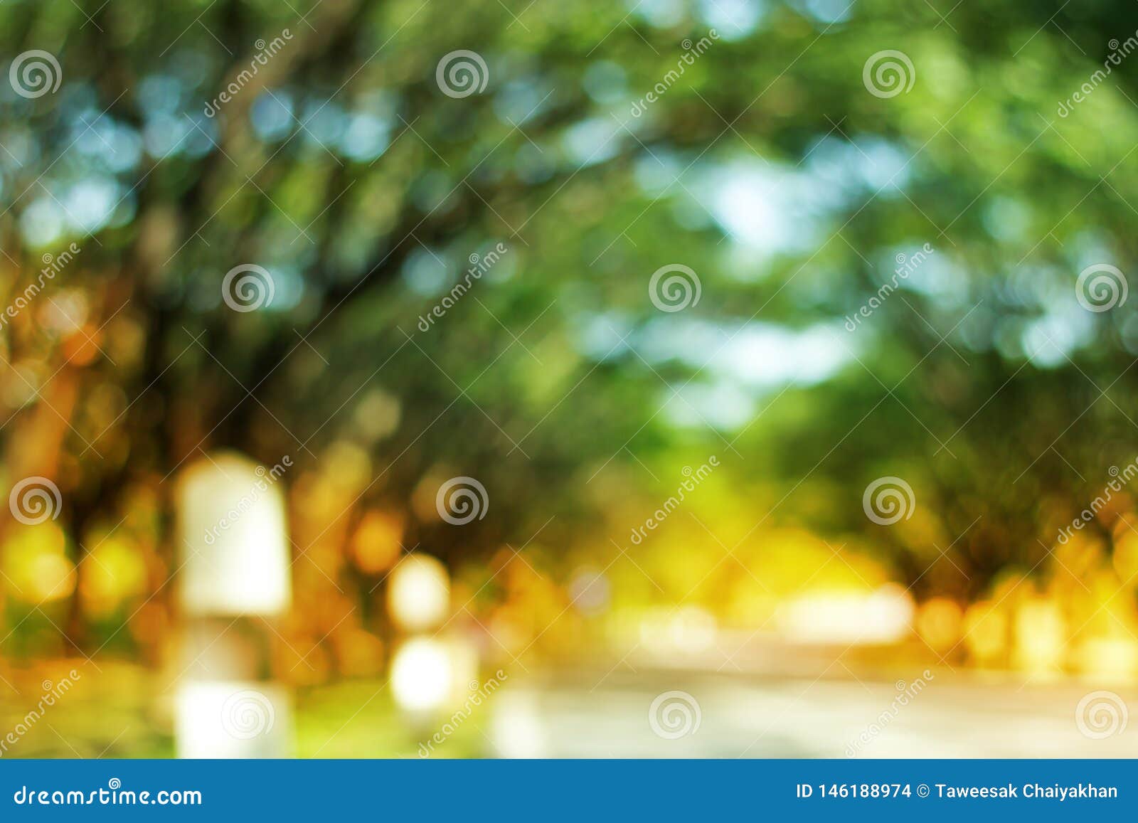 Blurred Tree and Road, the Nature Background Abstract Stock Photo ...