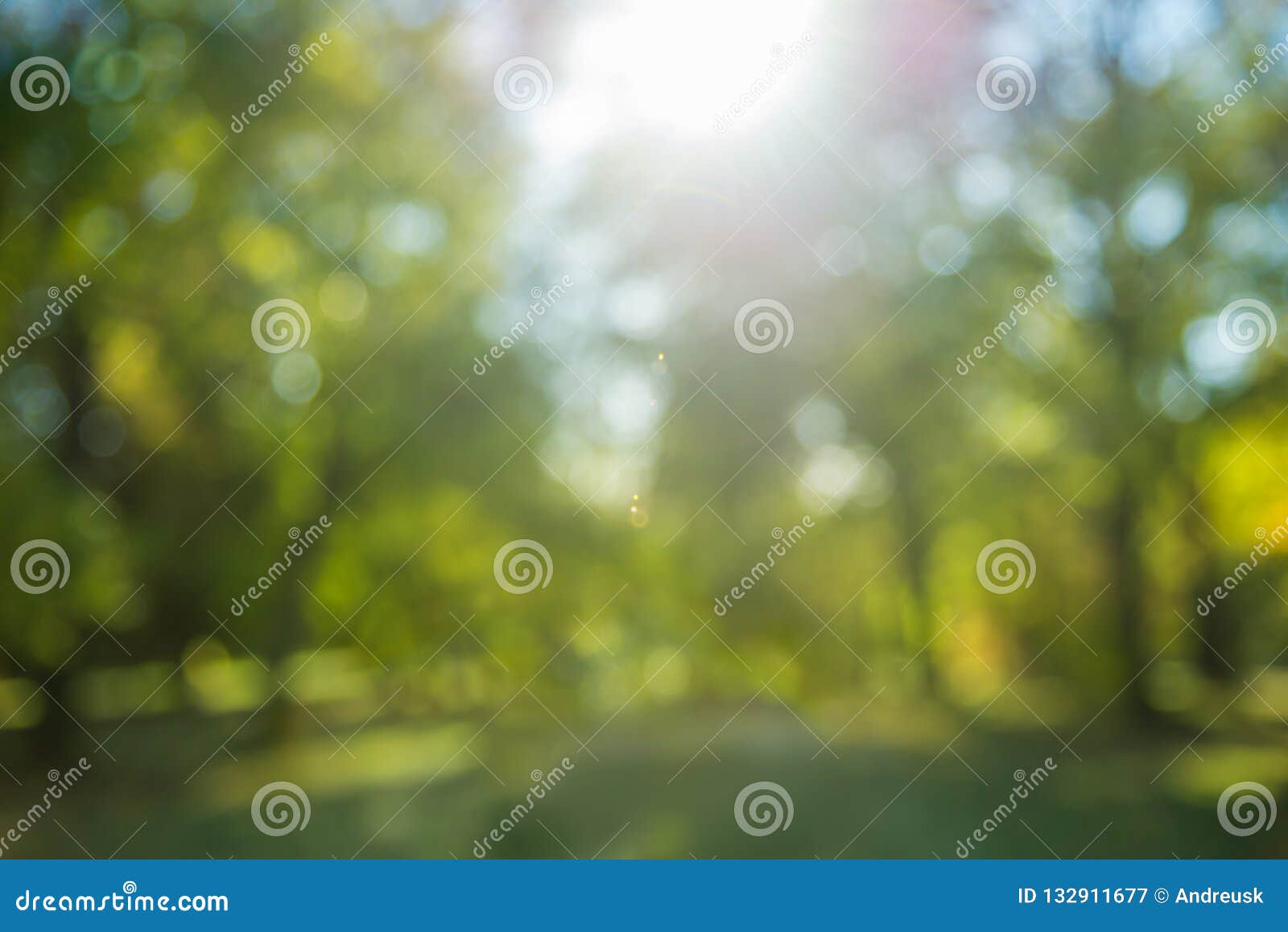 blurred trees background with sunbeams