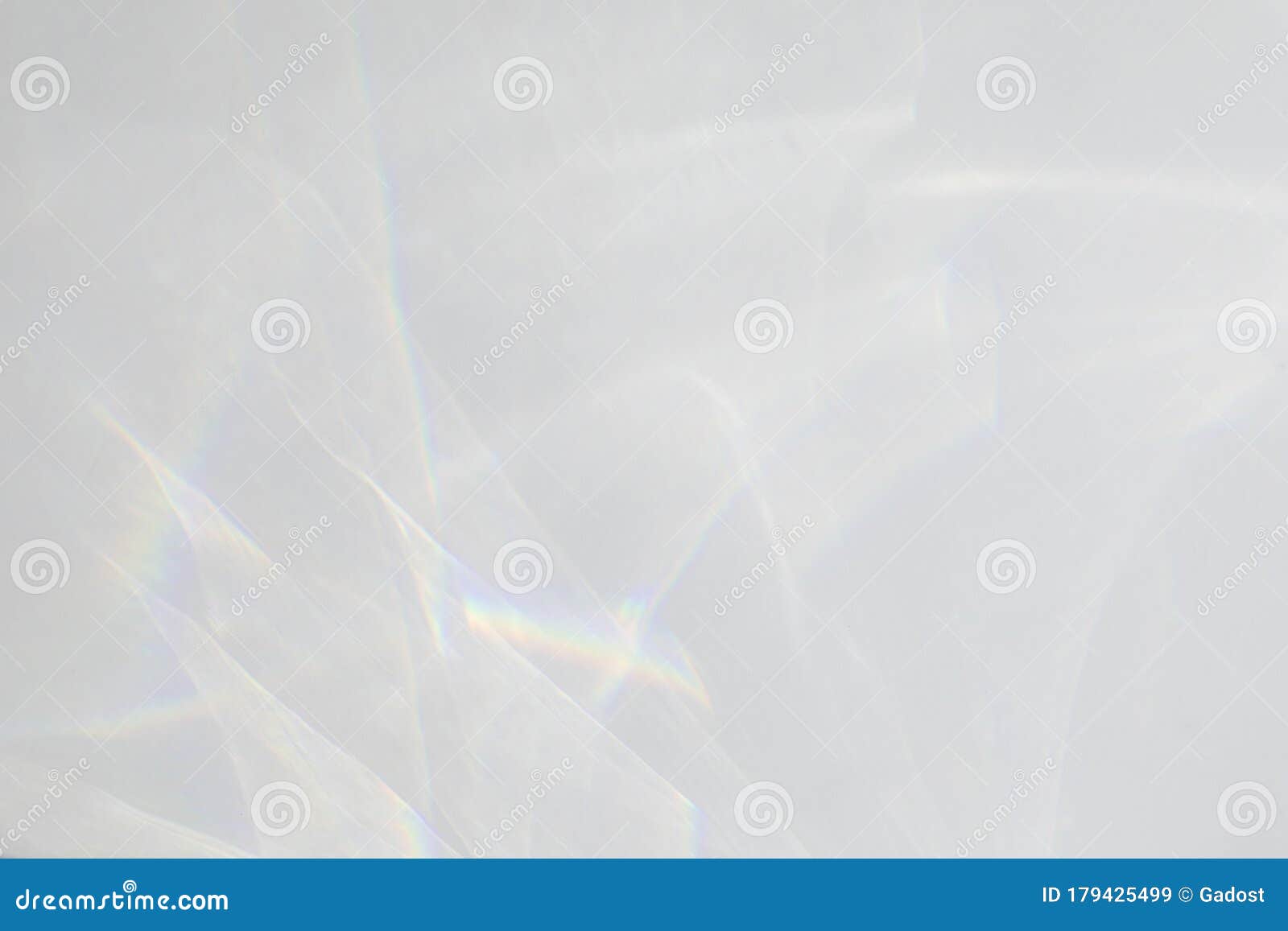 Organic Drop Shadow on a White Wall Stock Image Image of nature, gray