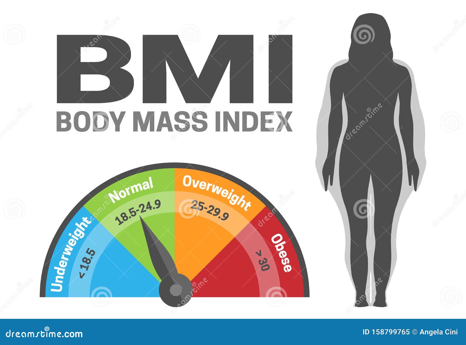 BMI classification chart measurement woman set. Female Body Mass Index  infographic with weight status from underweight to severely obese. Medical  body mass control graph. Vector eps illustration 5905396 Vector Art at  Vecteezy