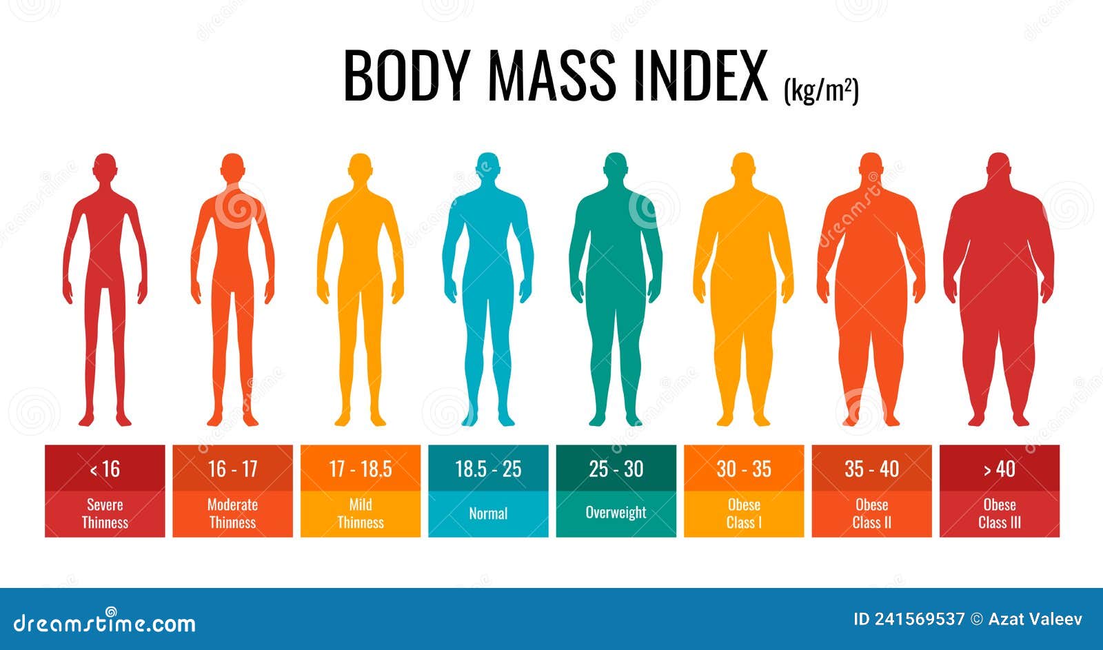 male body comparison chart