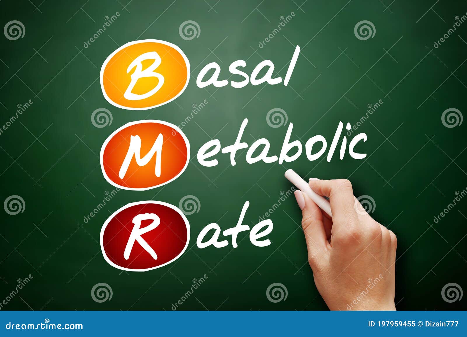 BMR Basal Metabolic Rate Acronym, Concept on Blackboard Stock