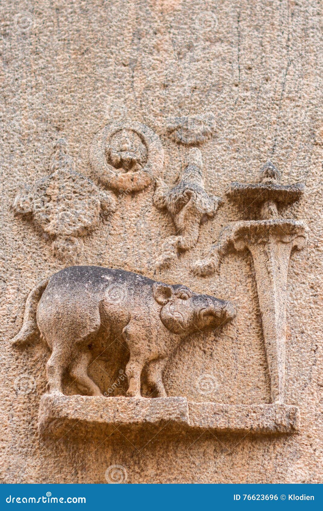 The Boar As Fourth Avatar of Vishnu at Kallalagar Temple. Stock ...