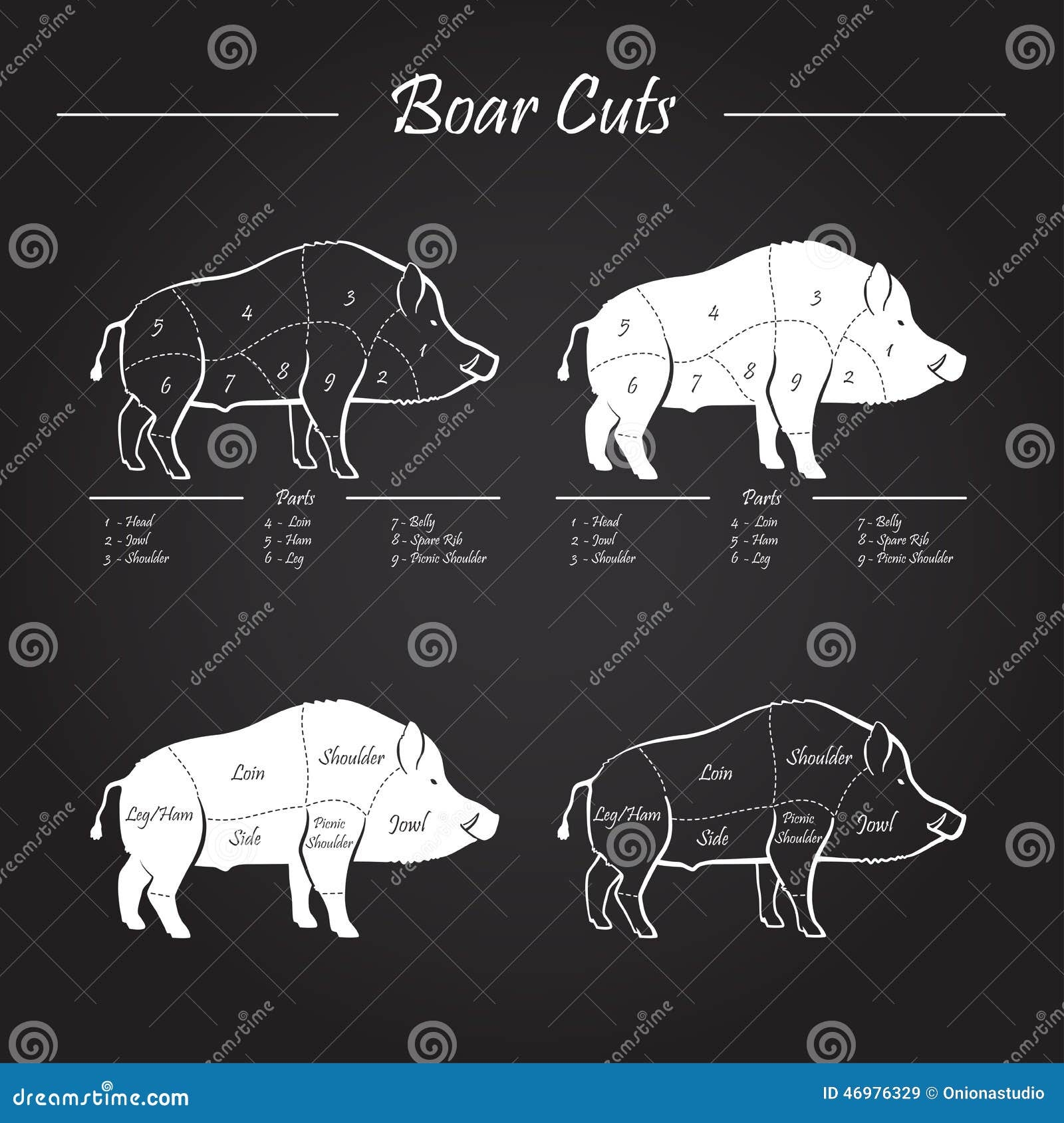 boar meat cut diagram elements blackboard wild hog game scheme set chalkboard 46976329