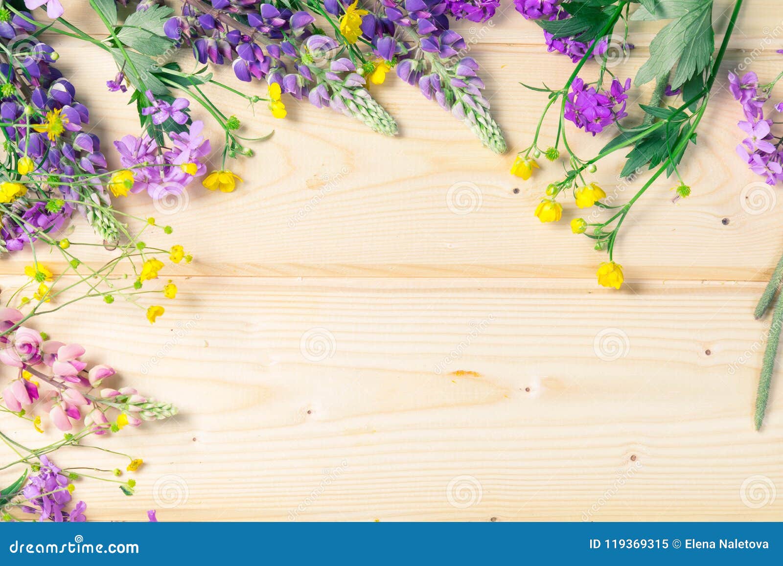 Board Background for Design in a Frame of the Blossoming Summer Flowers.  the Place for an Inscription Stock Image - Image of green, camomile:  119369315