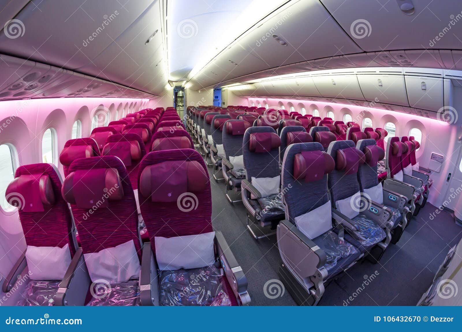 On Board Boeing 787 Qatar Airways Airlines Airport Pulkovo