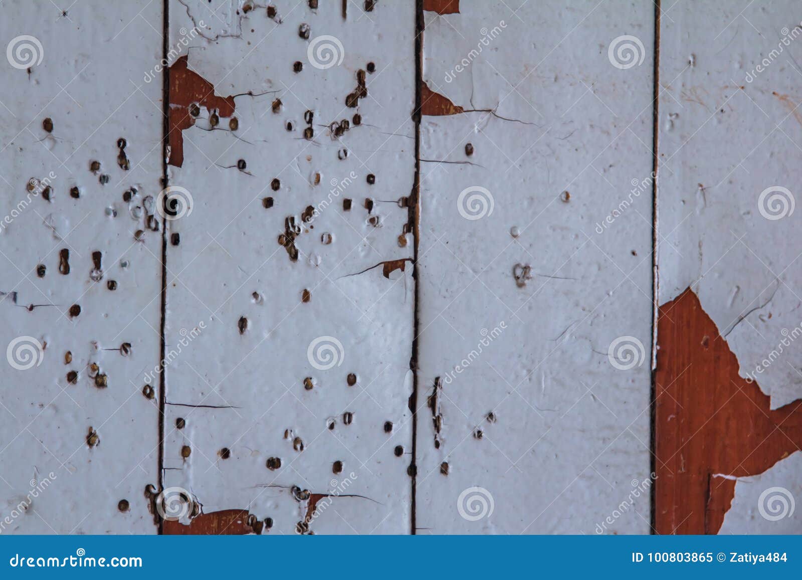 Boards Under Flaky Paint and Traces of Termites Stock Image Image of