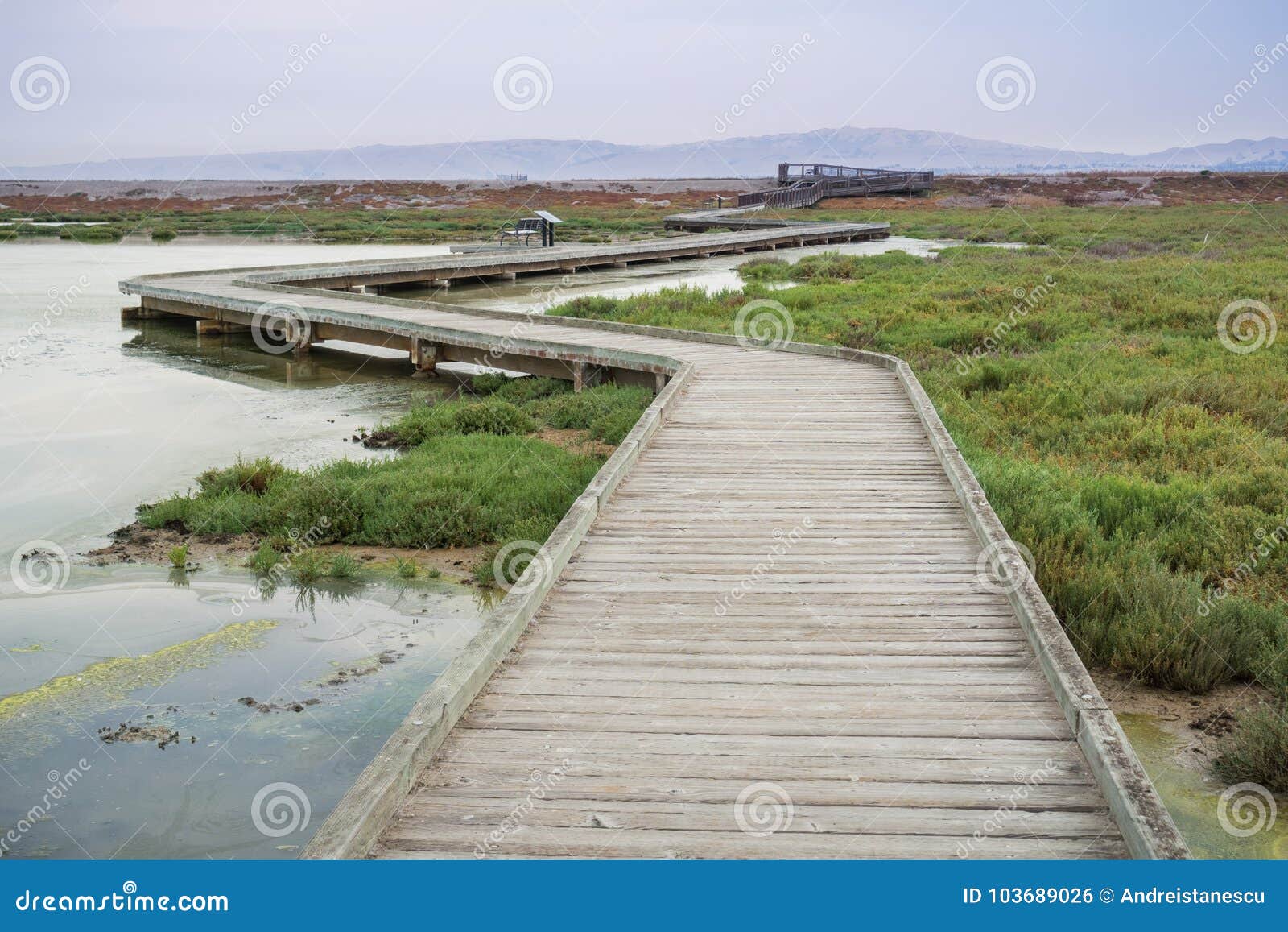 boardwalk through alviso marsh on a cloudy day