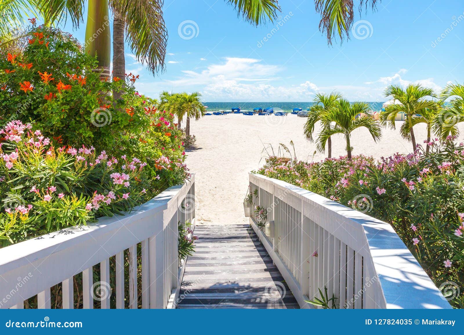 boardwalk on beach in st. pete, florida, usa
