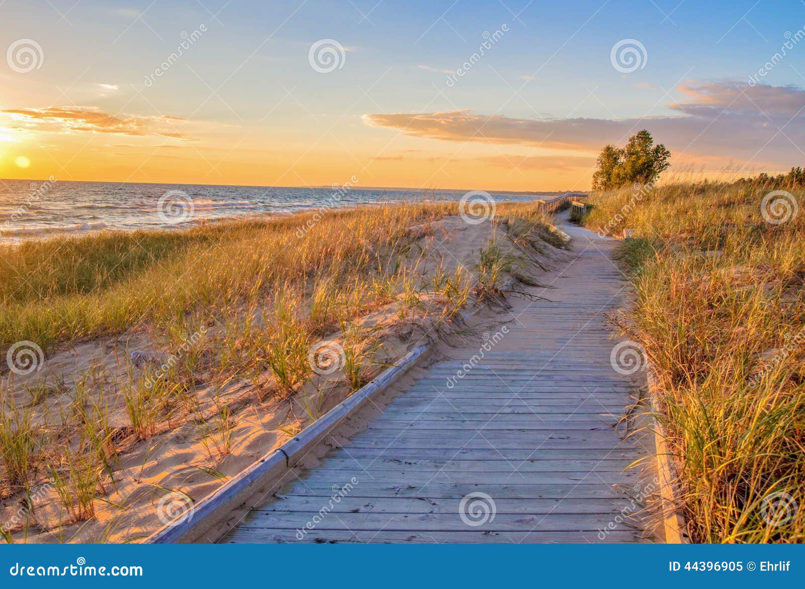 boardwalk beach