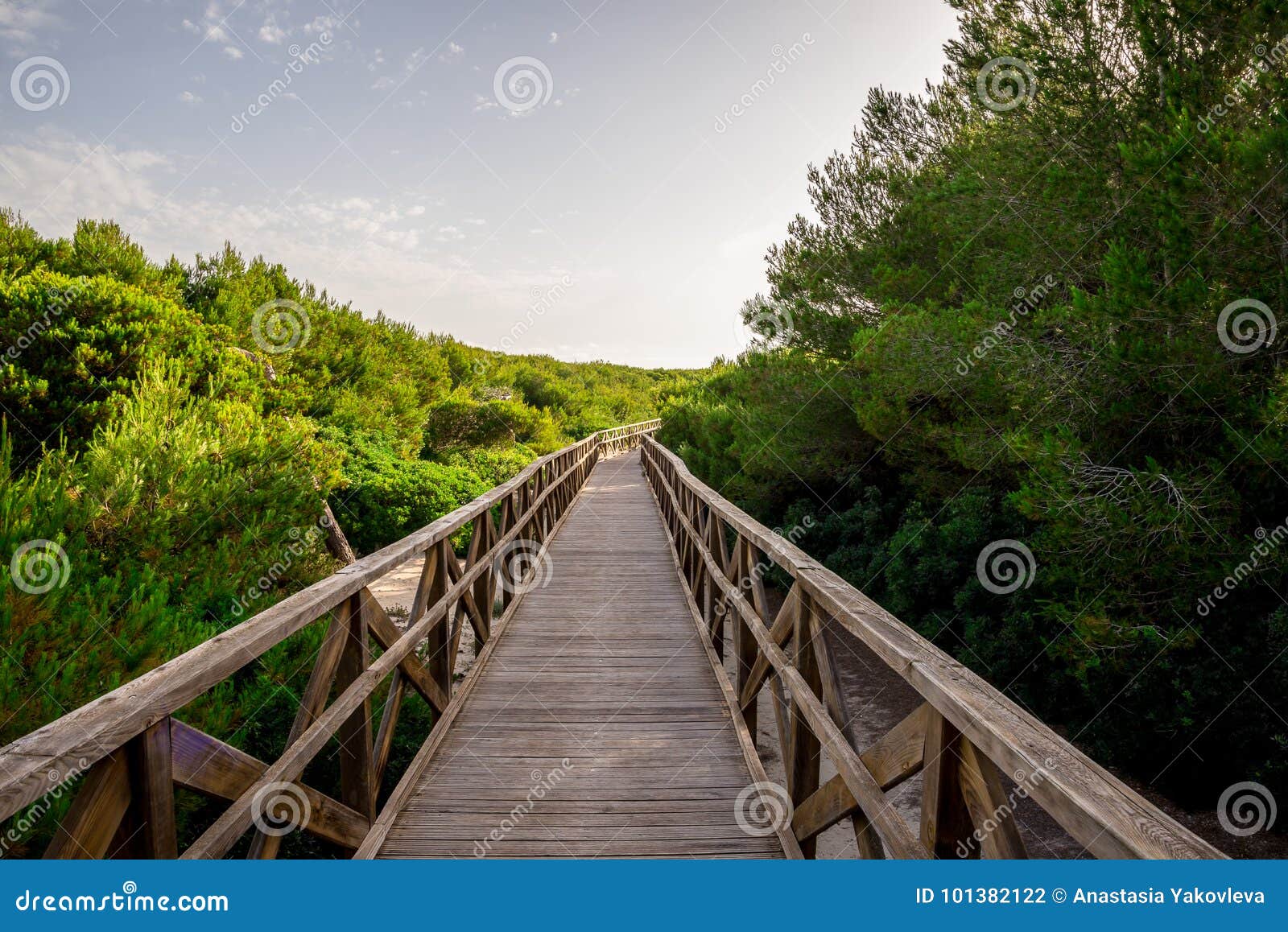 a boardwalk bridge to playa de muro beach in can picafort, mallorca
