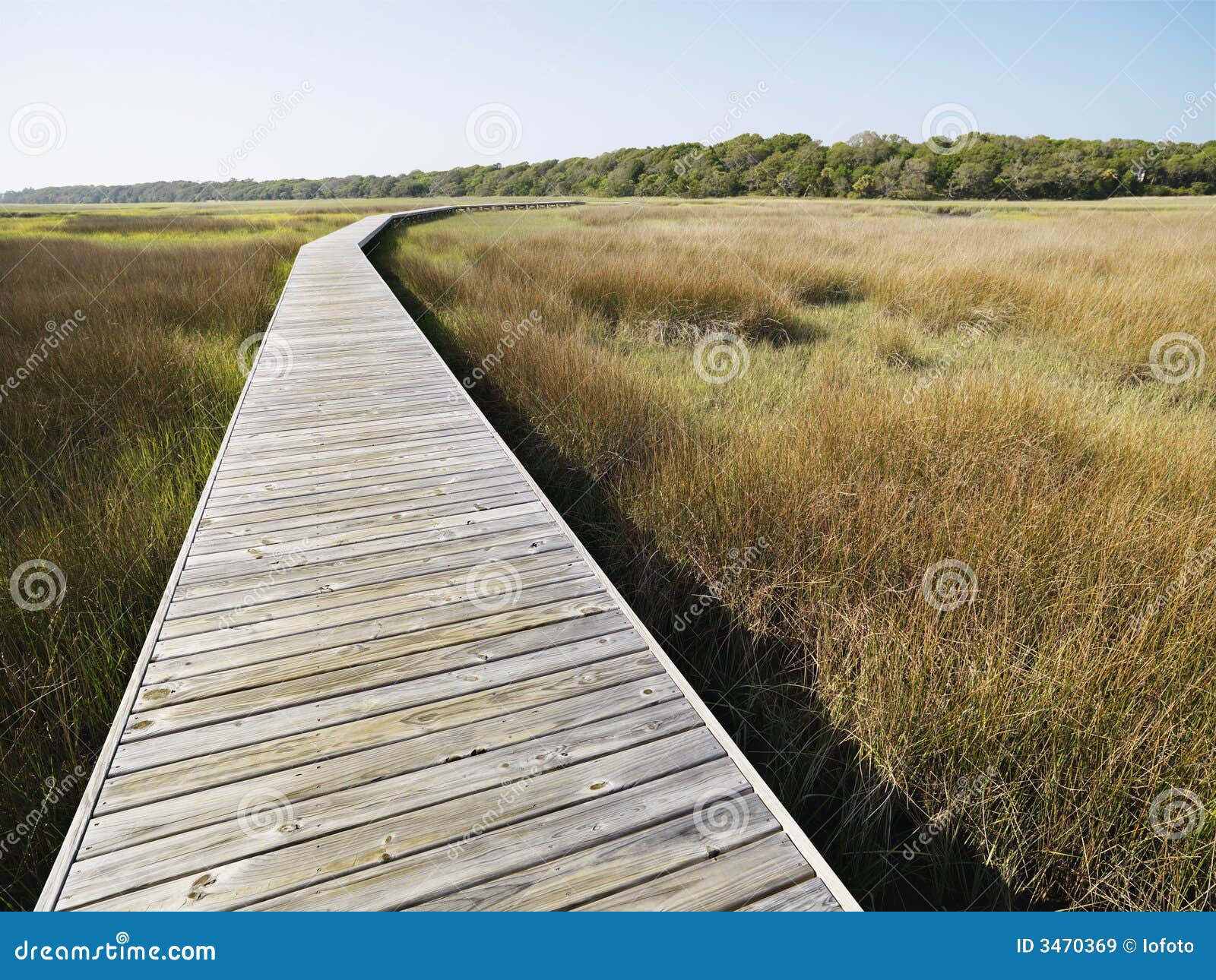 boardwalk at coastal marsh.