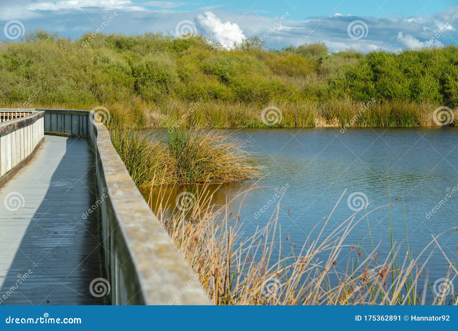 boardwalk on oso flaco lake trail in oceano, california