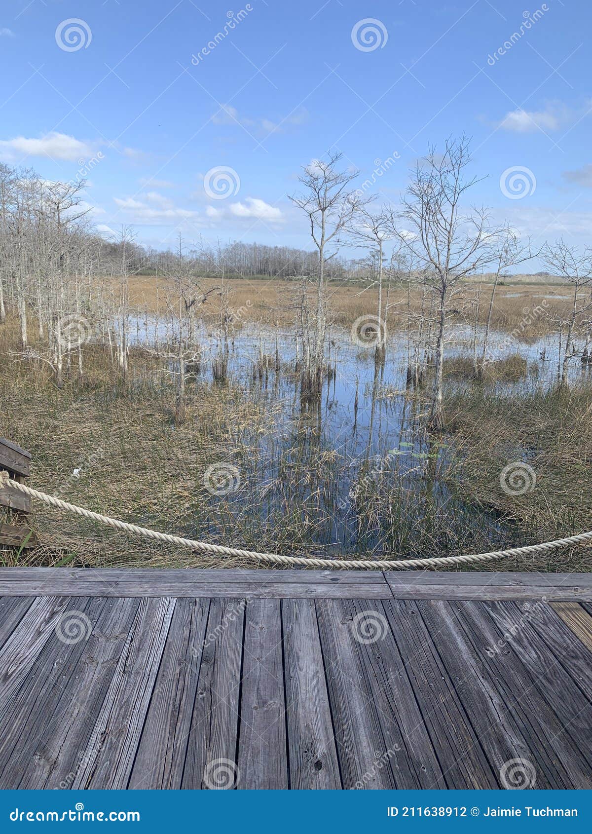 My Image 14