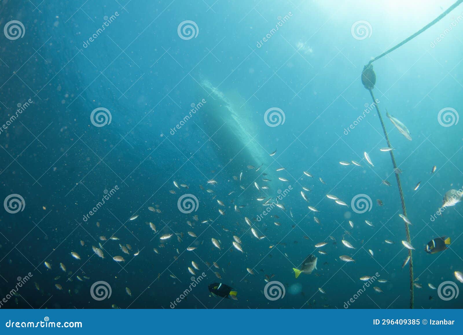 Boat Chain Anchor from Underwater with Sun Rays Stock Image - Image of  sunlight, tropical: 296409385