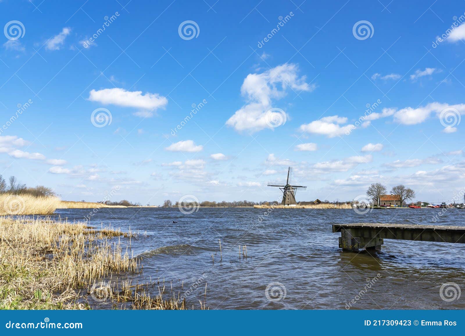 a boat dock in the rough water of lake de rottemeren with the windmill de korenmolen in the background on a sunny but stormy day