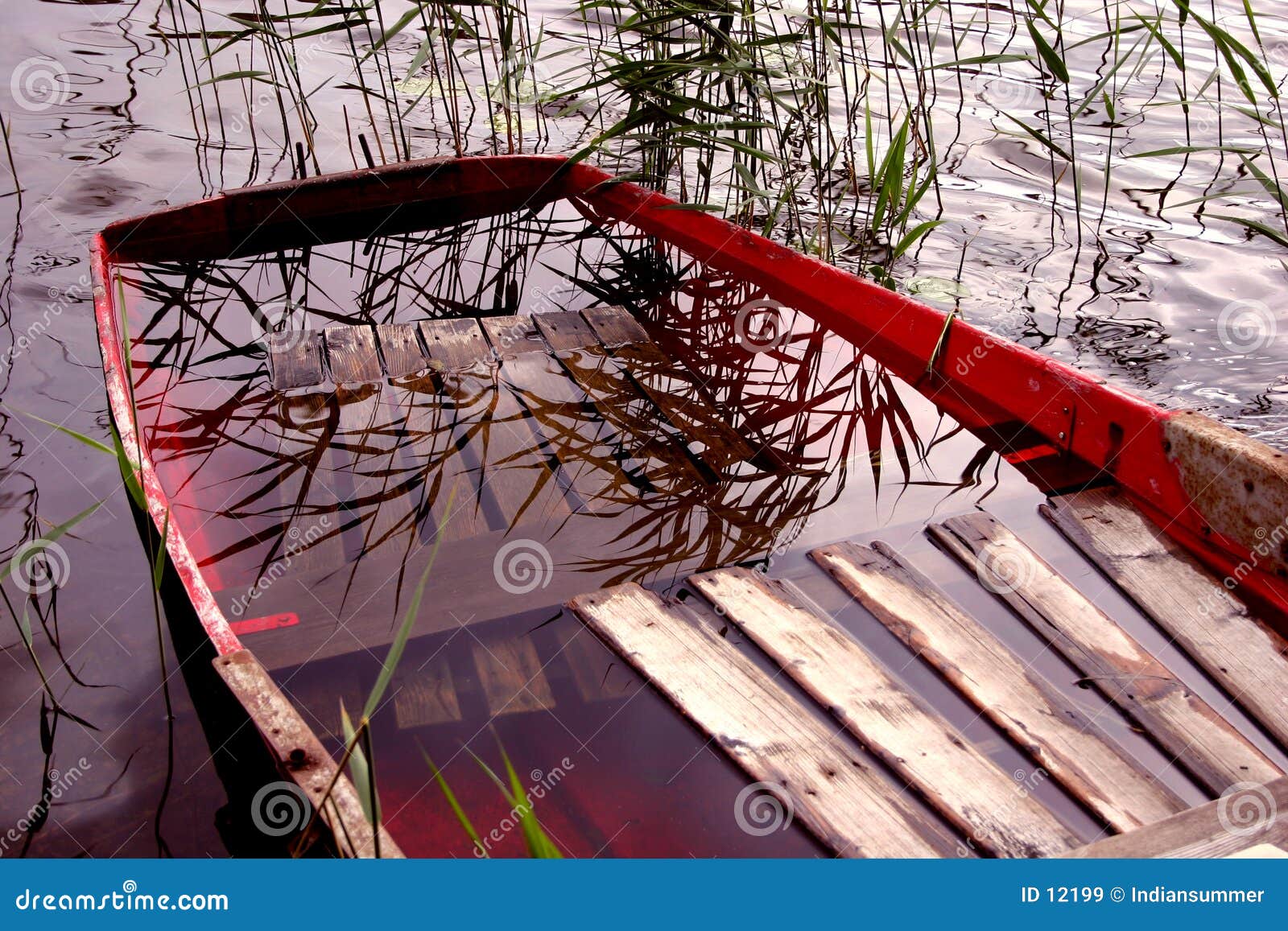 Boat full of water stock image. Image of ships, lake, bullrush 12199