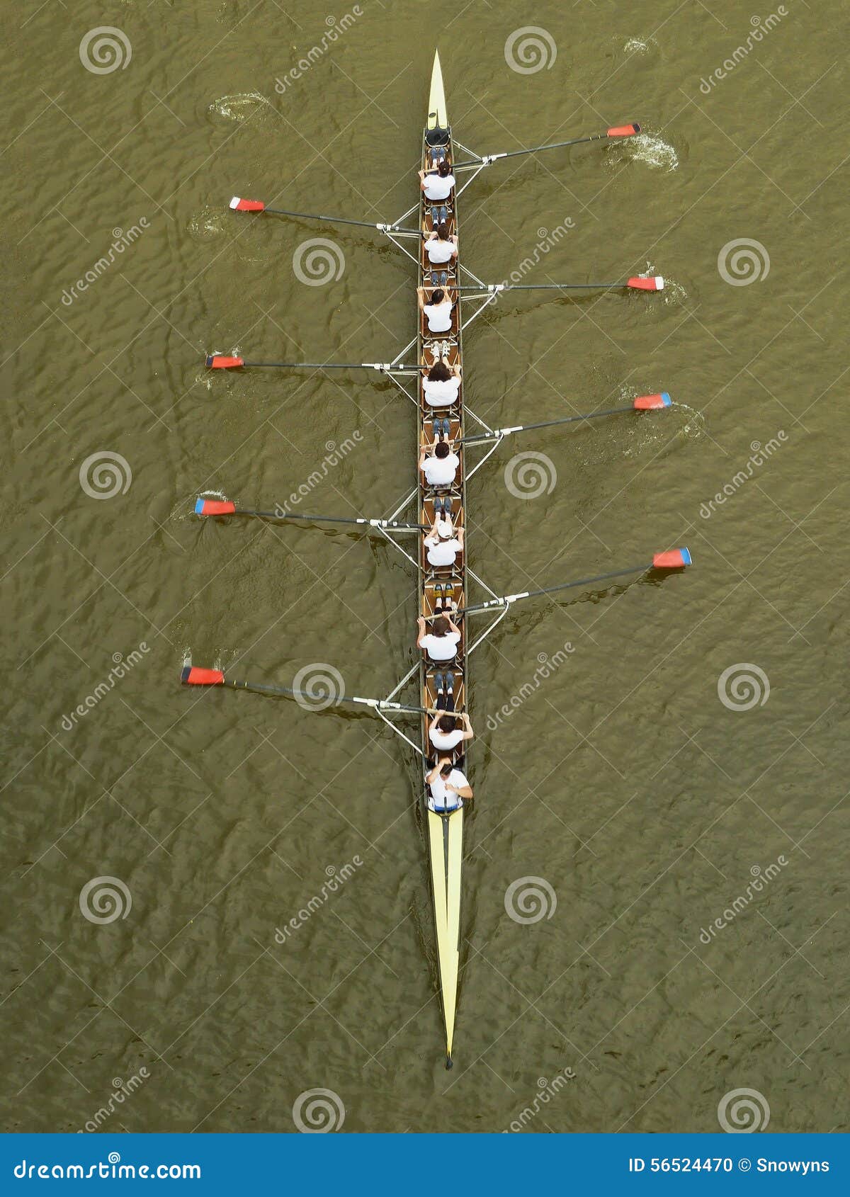 Boat race octosyllable stock photo. Image of boat, novi 56524470