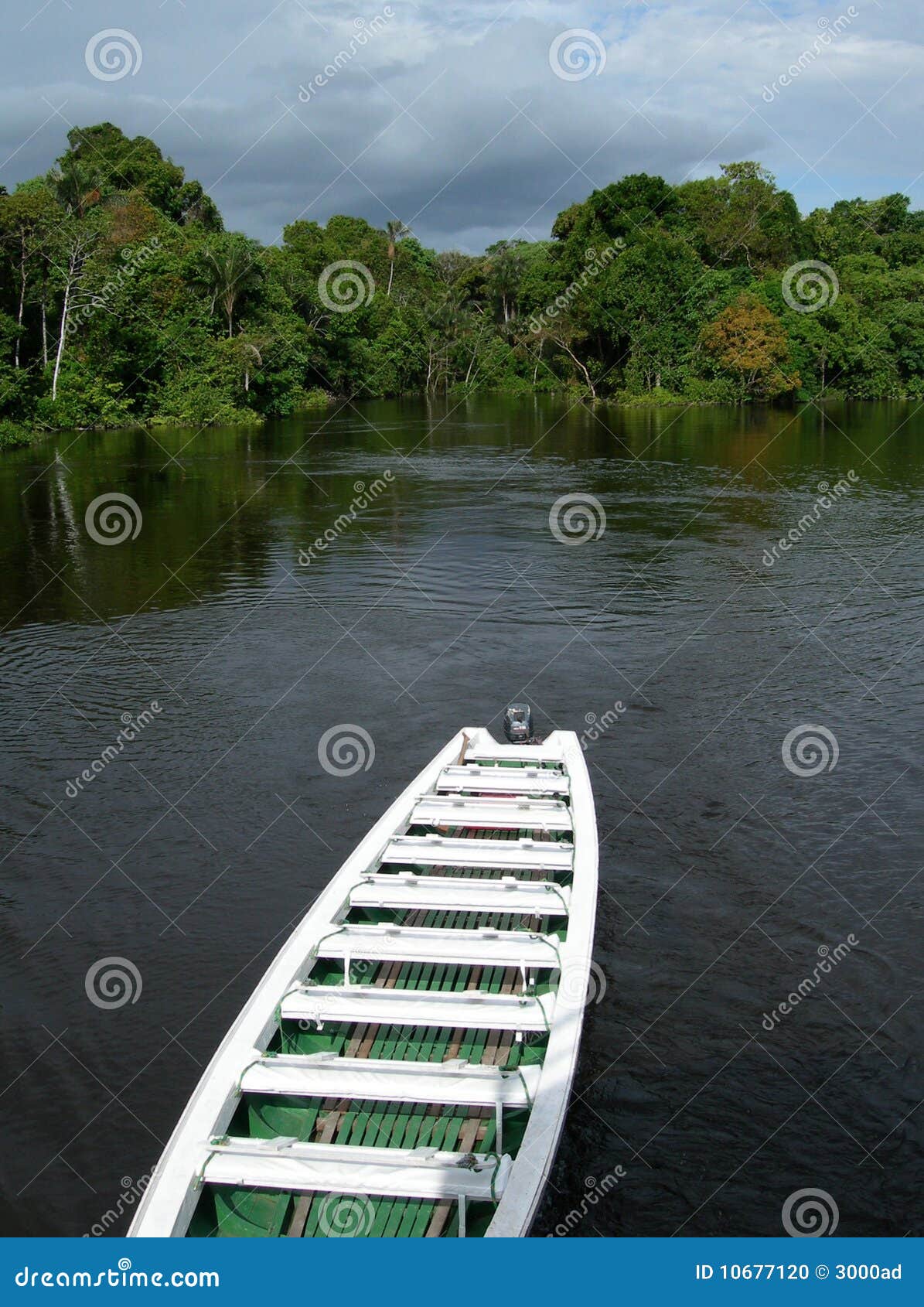 boat on rio negro, brazil