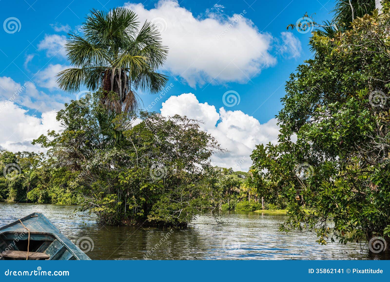 boat in the river in the peruvian amazon jungle at madre de dios peru