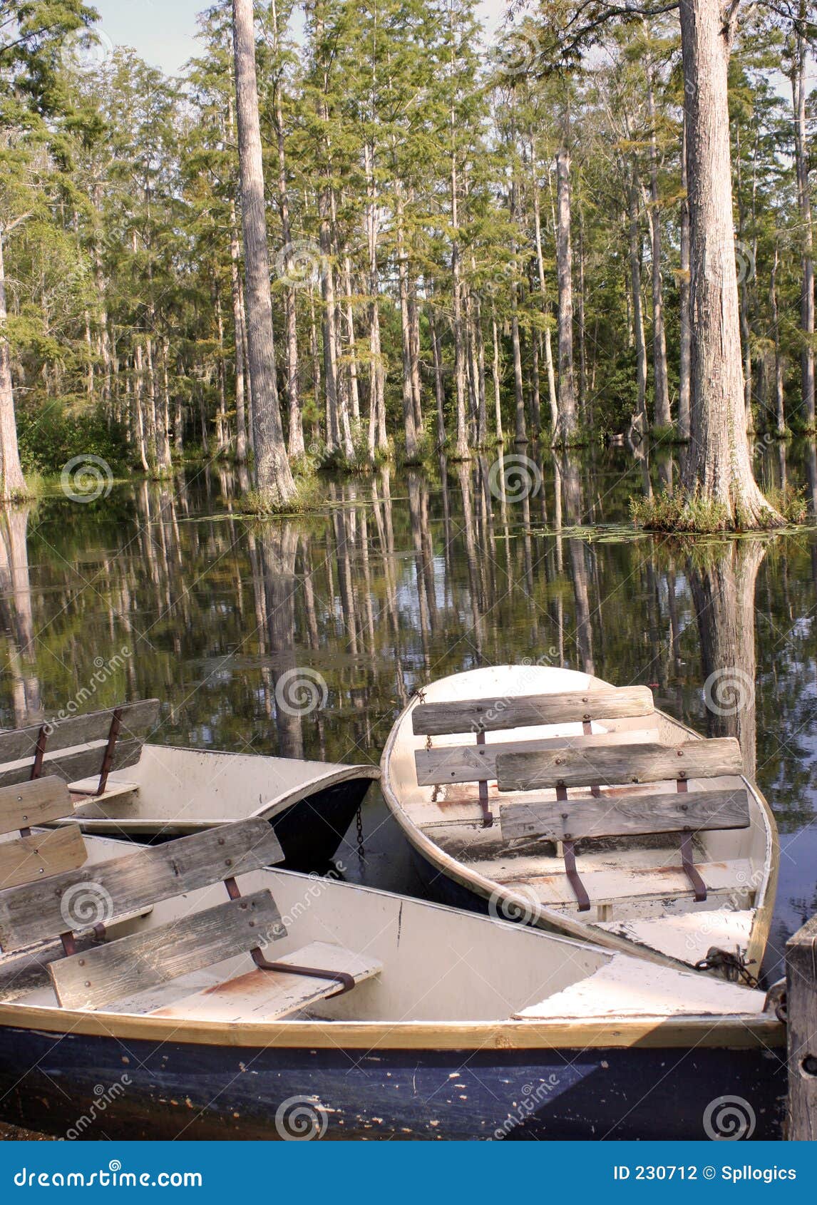 Boat In Swamp Stock Photo Image Of Swamp Cypress Lake 230712