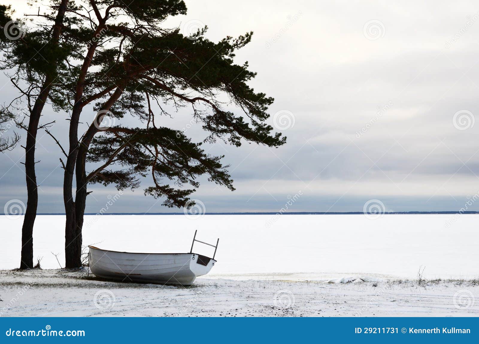 Boat at winter rest. Boat in winter rest under a pine tree and an ice covered lake