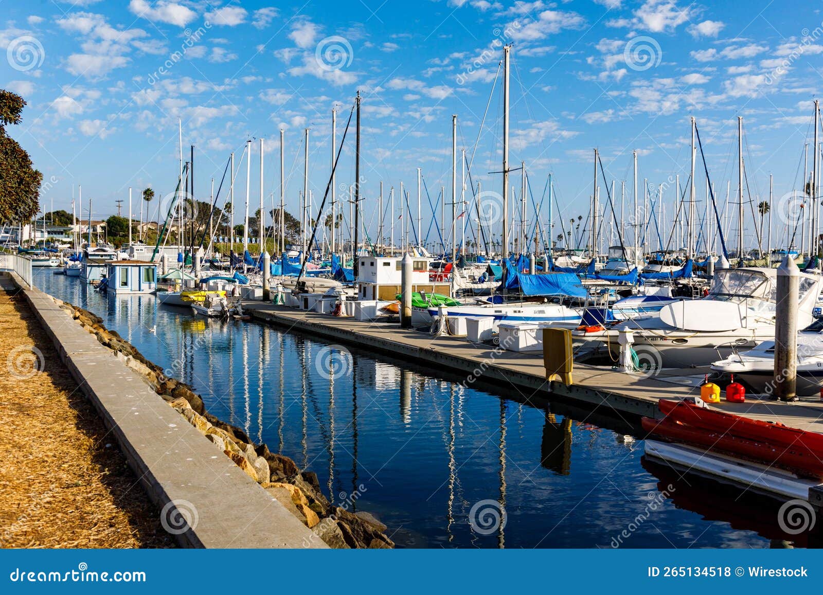 Boats Docked at Oceanside Harbor Editorial Stock Photo - Image of ...