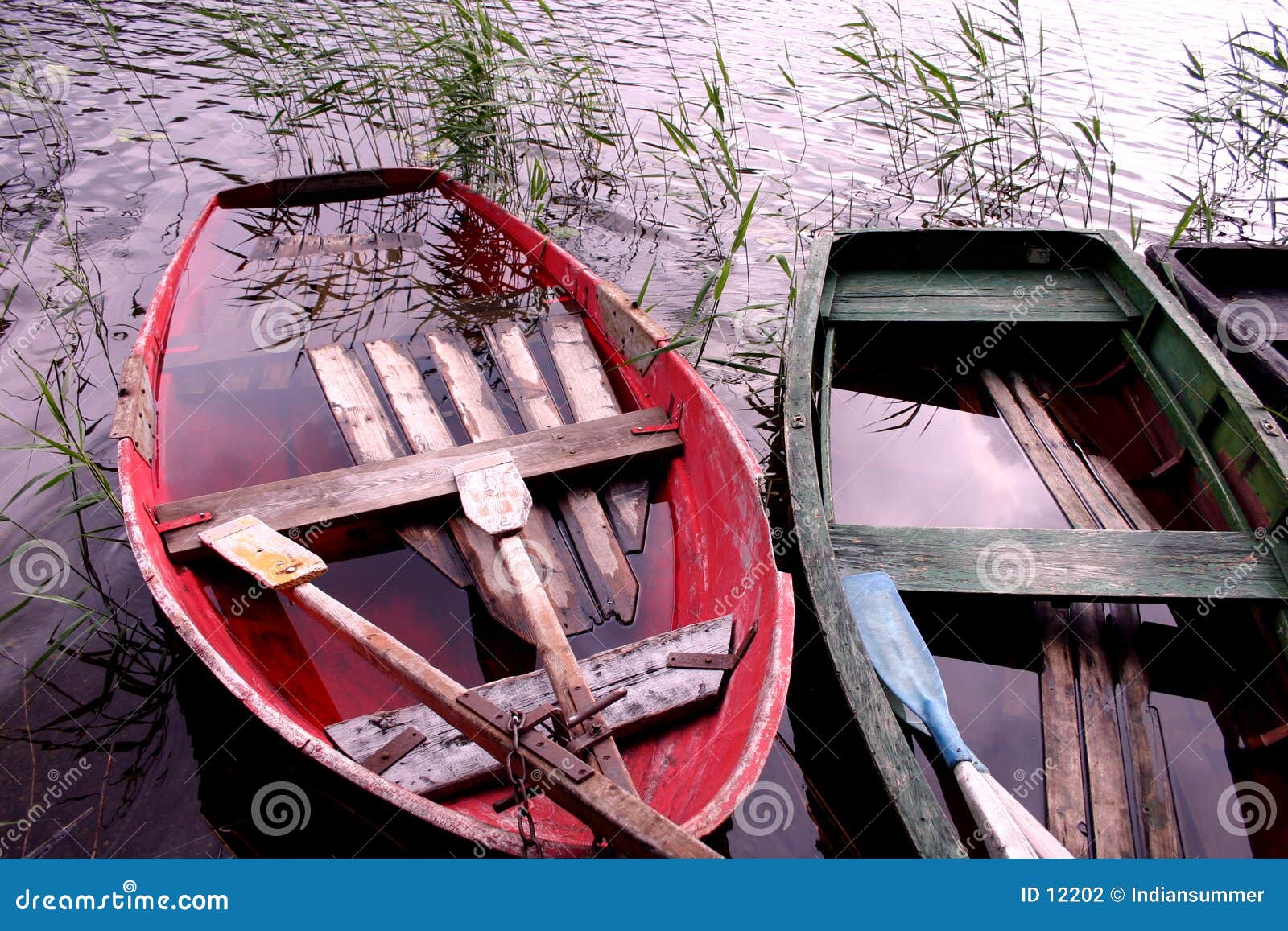 Boats full of water stock photo. Image of river, reed, shadow 12202