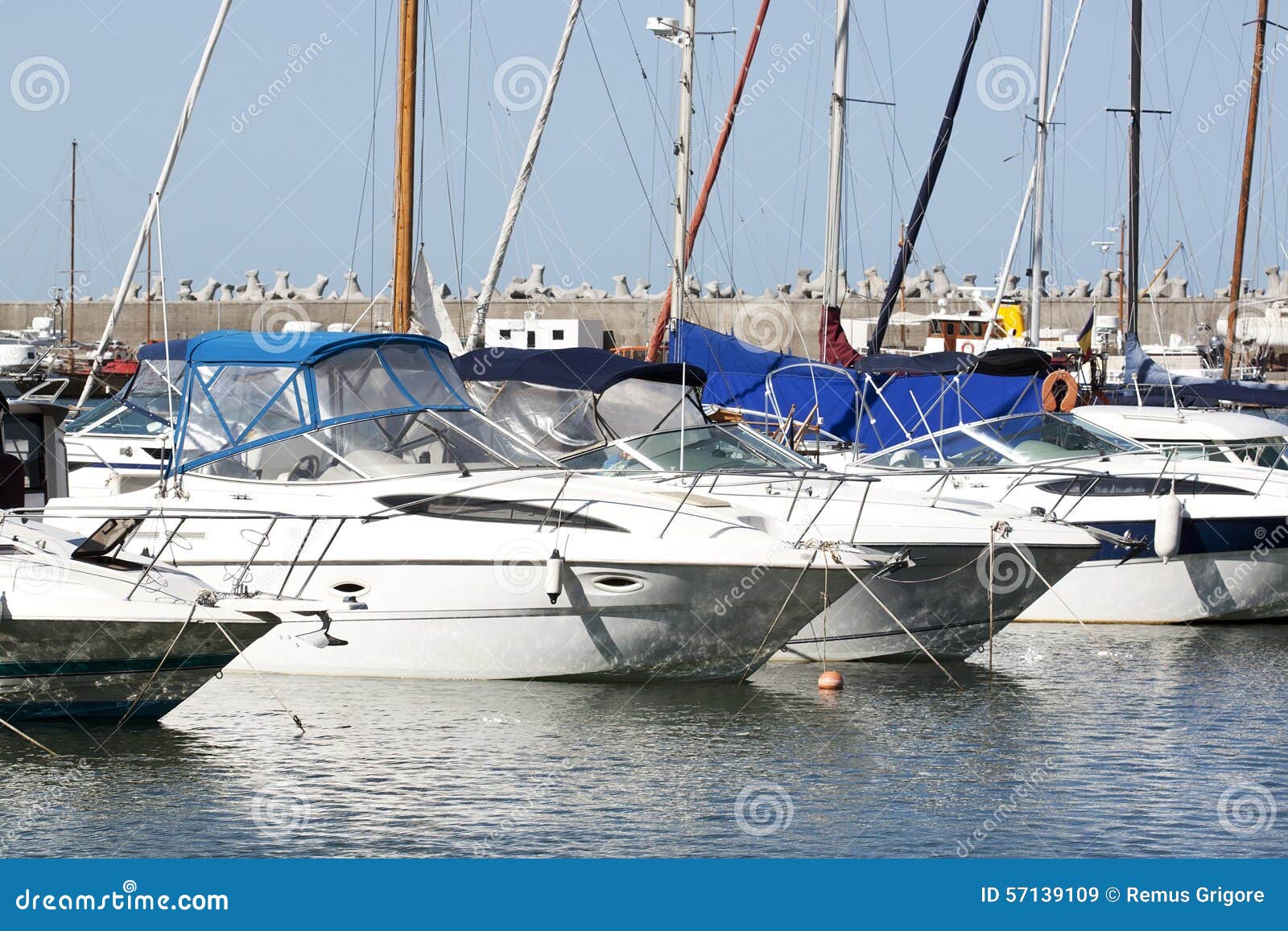 boats in marina