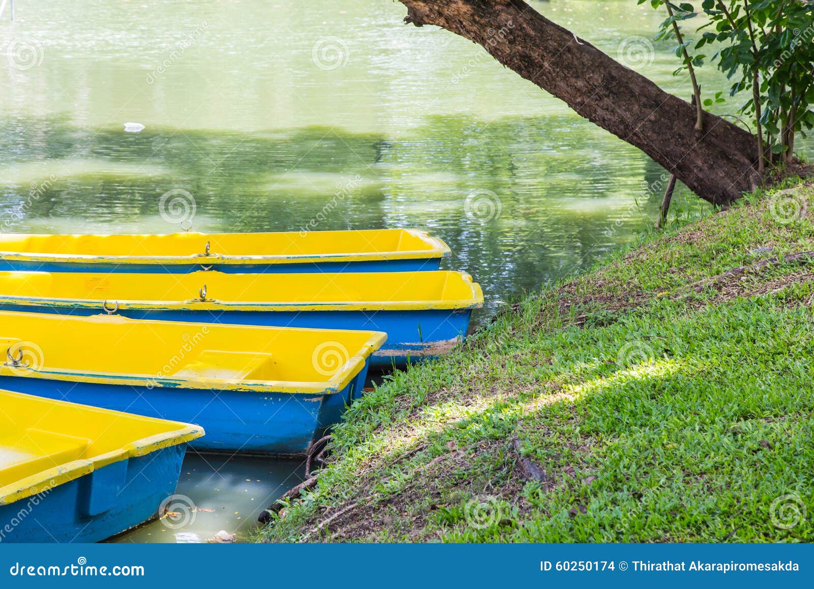 Boats in the public park stock photo. Image of maritime 60250174