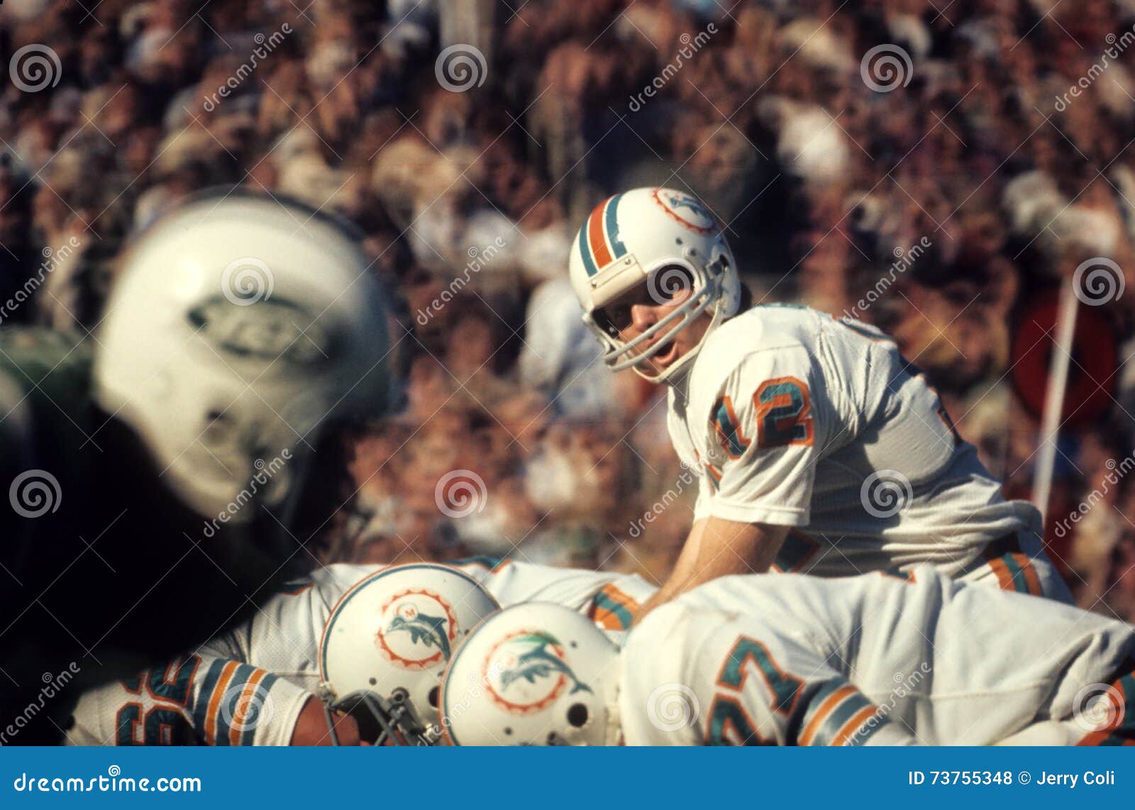 griese miami dolphins