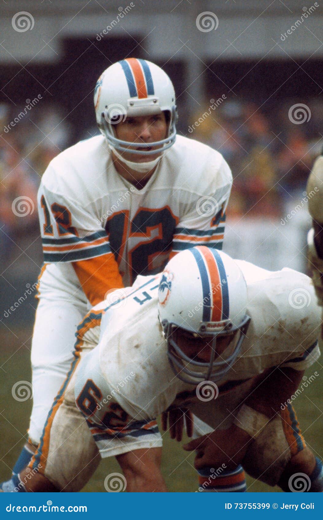 griese miami dolphins