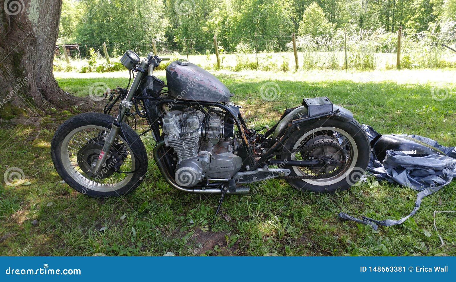 kawasaki bobber motorcycle