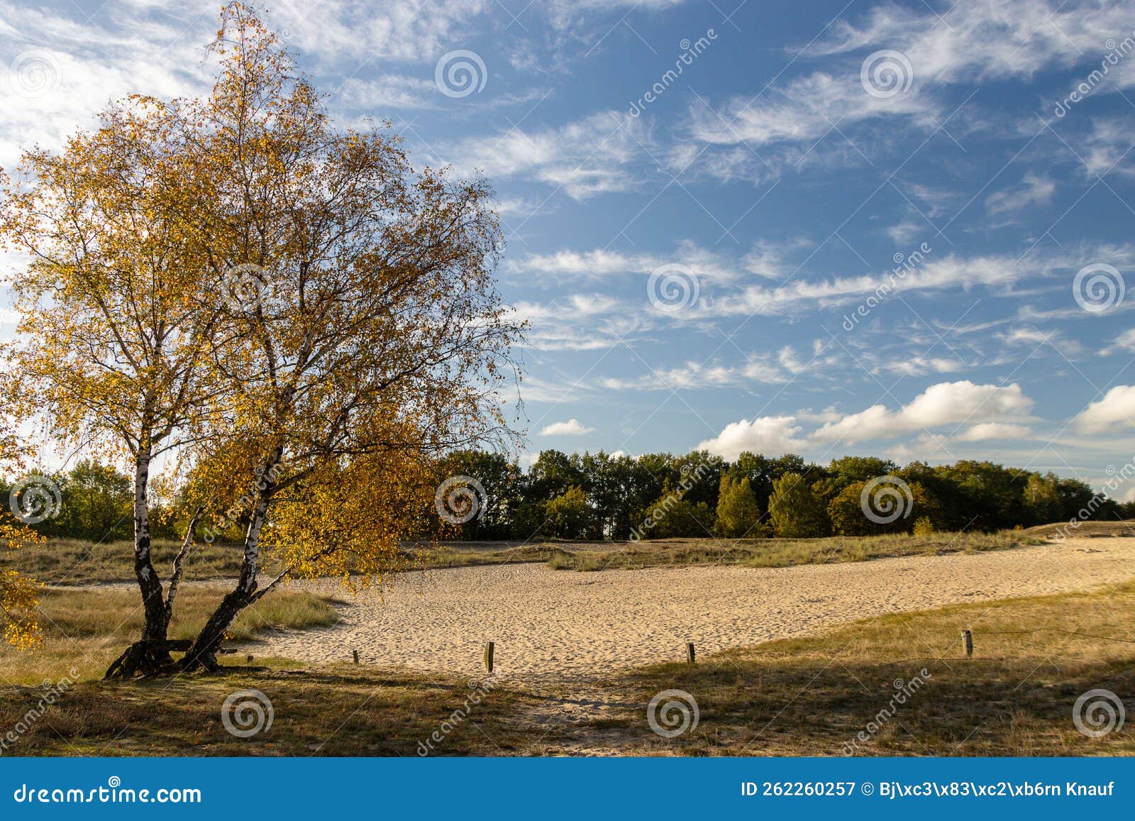 boberger dÃÂ¼nen herbst