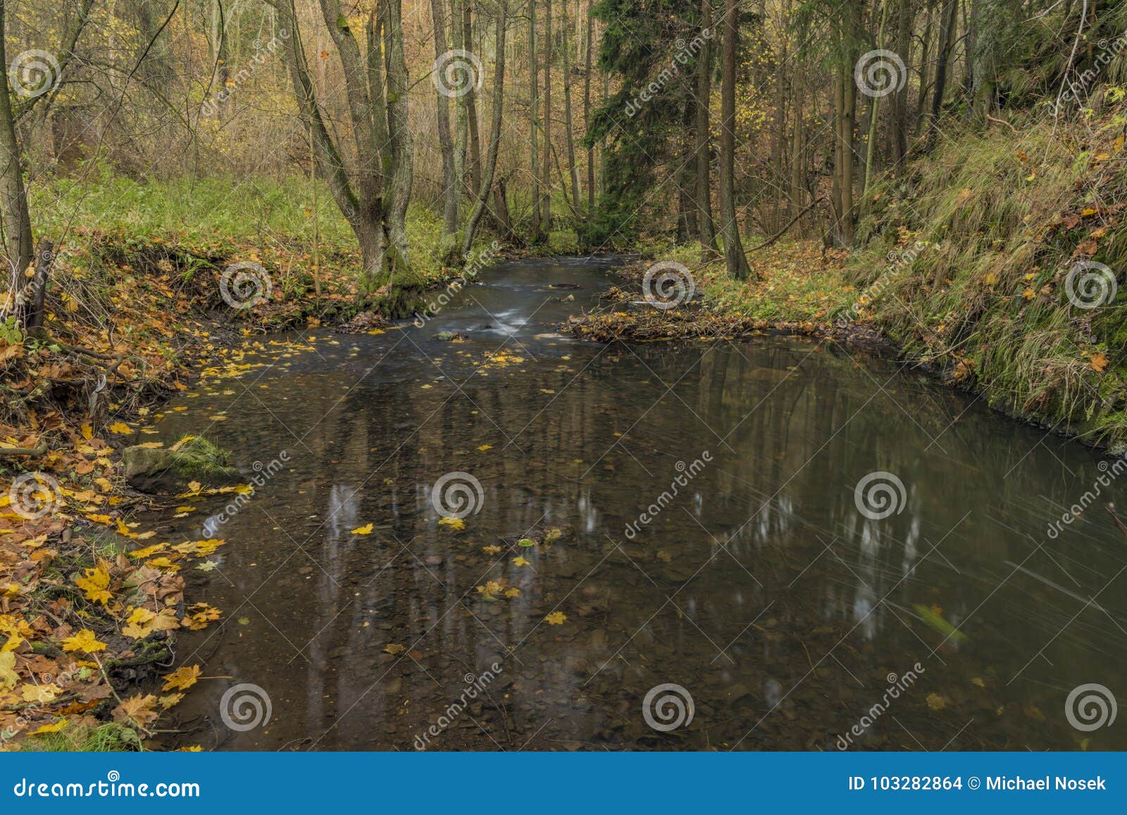 Bobri-Nebenfluss in Bergen Ceske Stredohori Stockfoto - Bild von europa ...