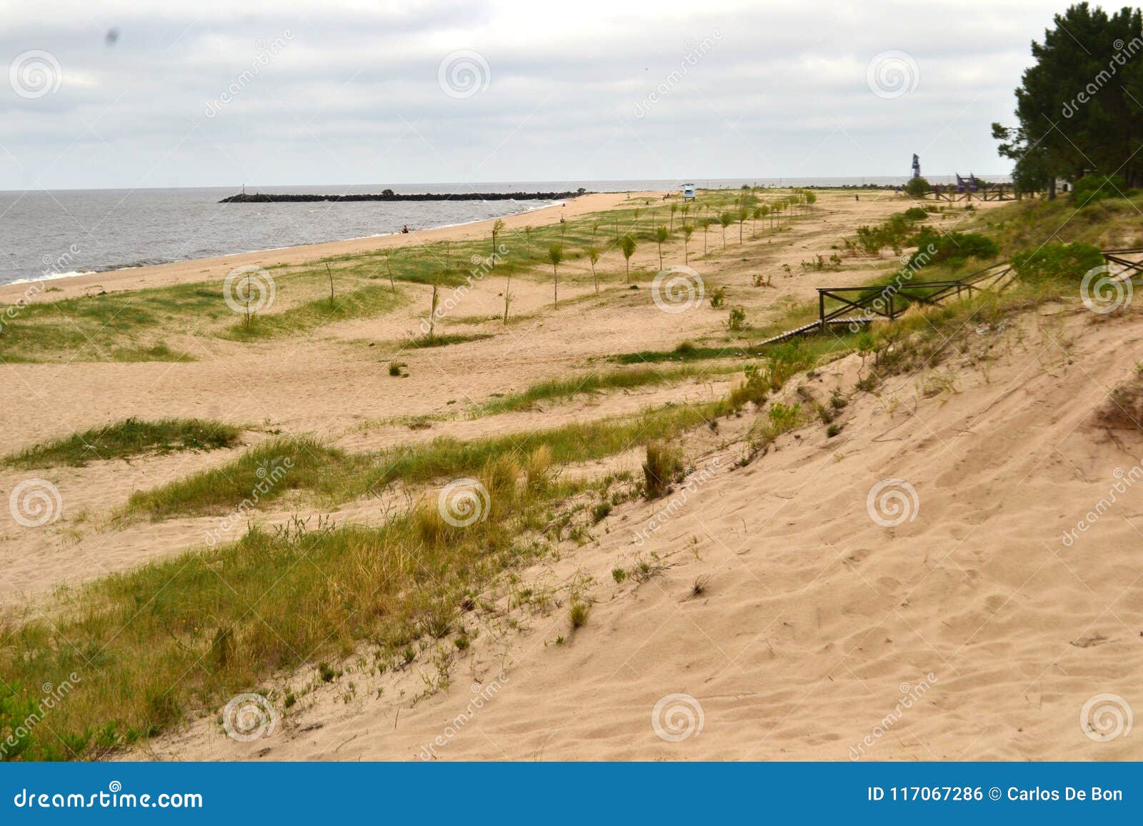 boca del cufrÃÂ© - san jose - uruguay