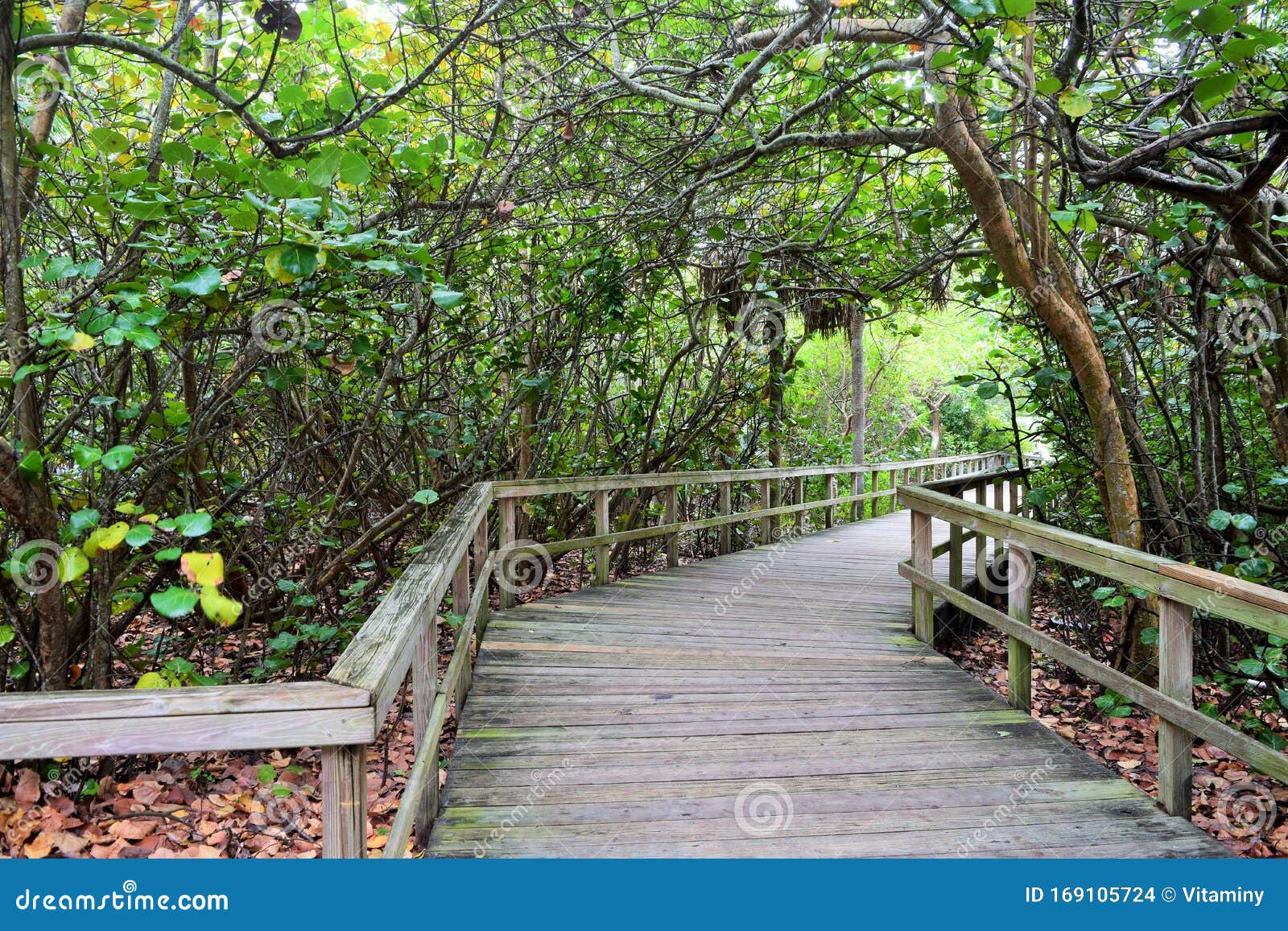 boca raton city park walkway