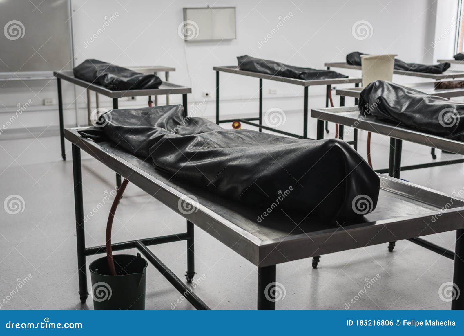 Covered Human Corpses On Tables In A Morgue Mortuary Waiting For covered-human-corpses-on-tables-in-a-morgue-mortuary-waiting-for