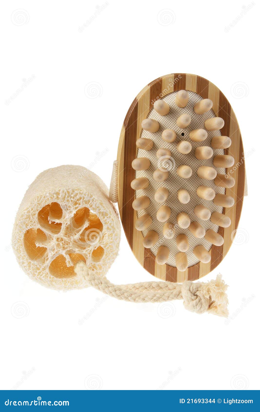 Body Brush and Loofah stock photo. Image of bathing, loofa 21693344