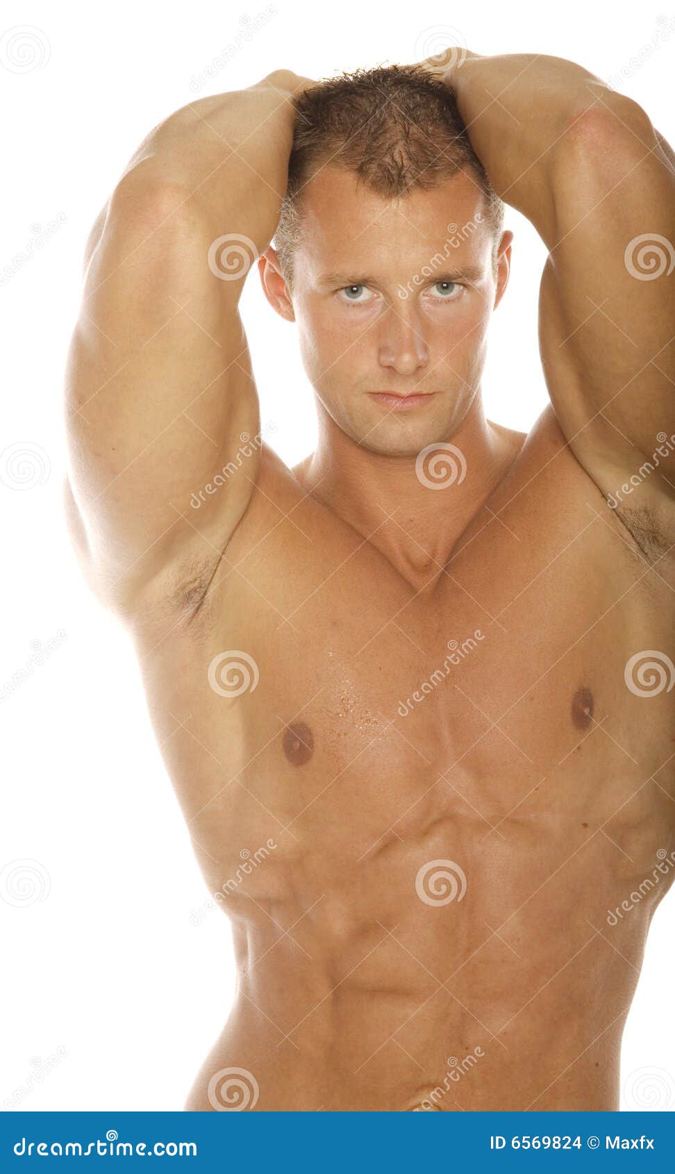 Body builder stock photo. Image of biceps, abdomen, muscular 6569824