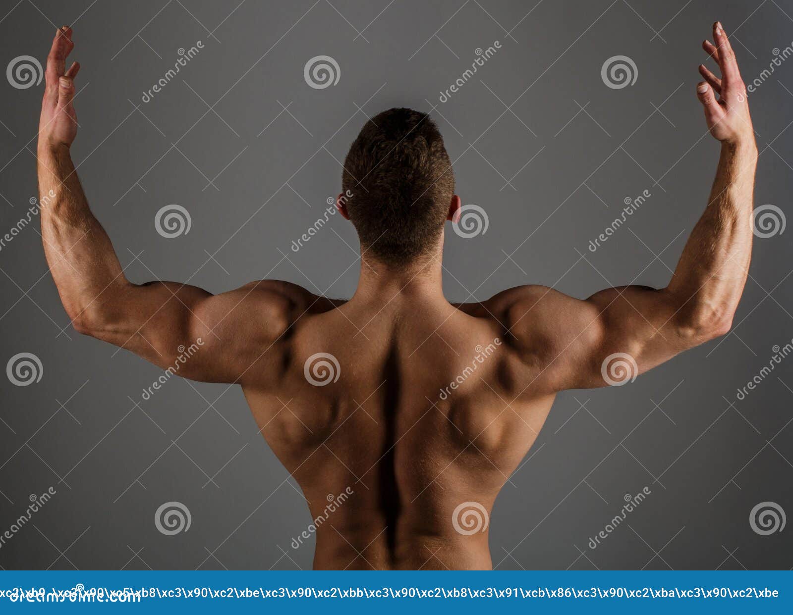 Body Builder Muscled Male Strong Man Bodybuilder Muscular Man Strong Male Brawny Guy Bodybuilder Sporty Guy Male Stock Photo Image Of Background Human