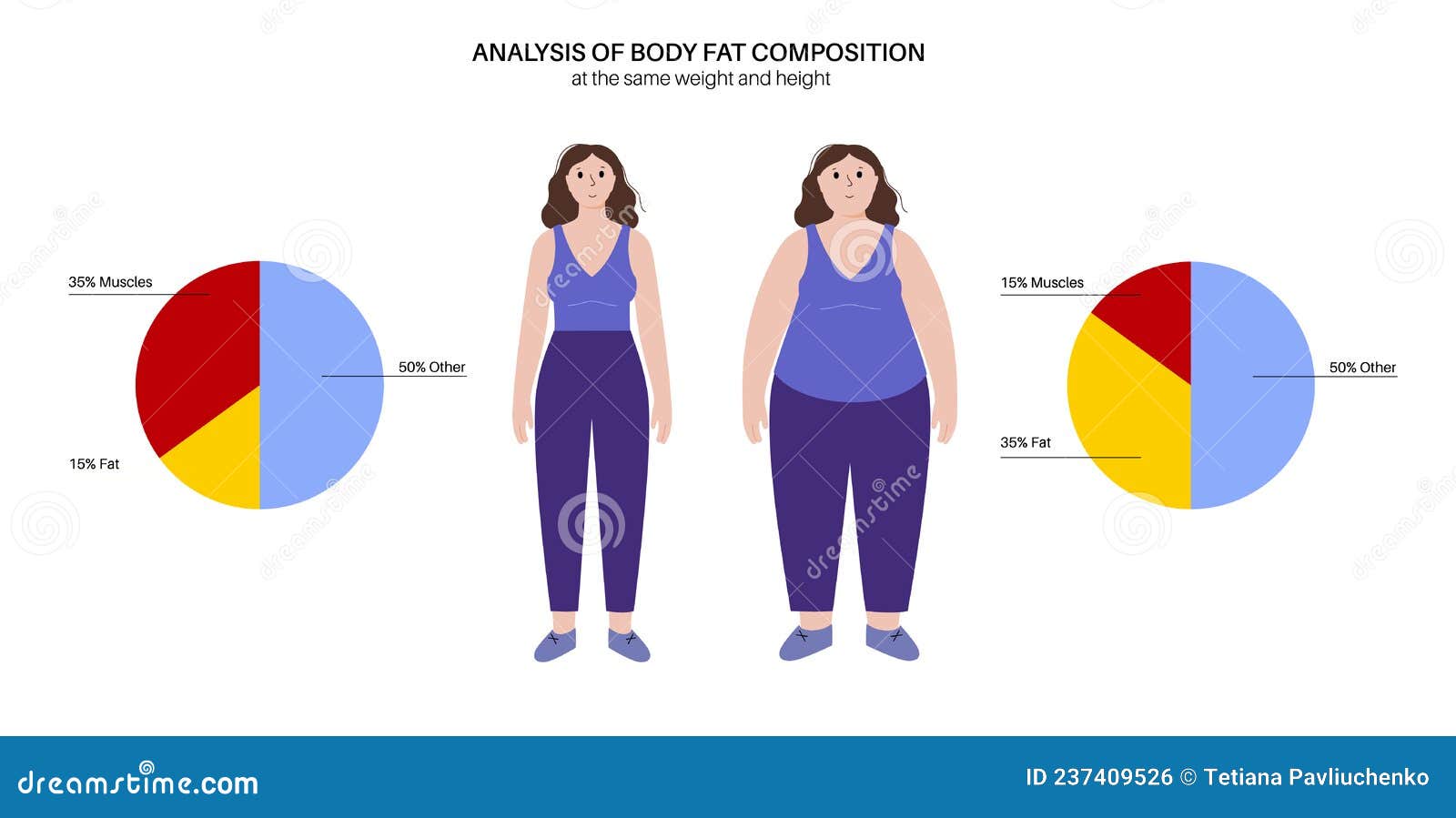 Body fat composition stock vector. Illustration of muscle Biology Diagrams